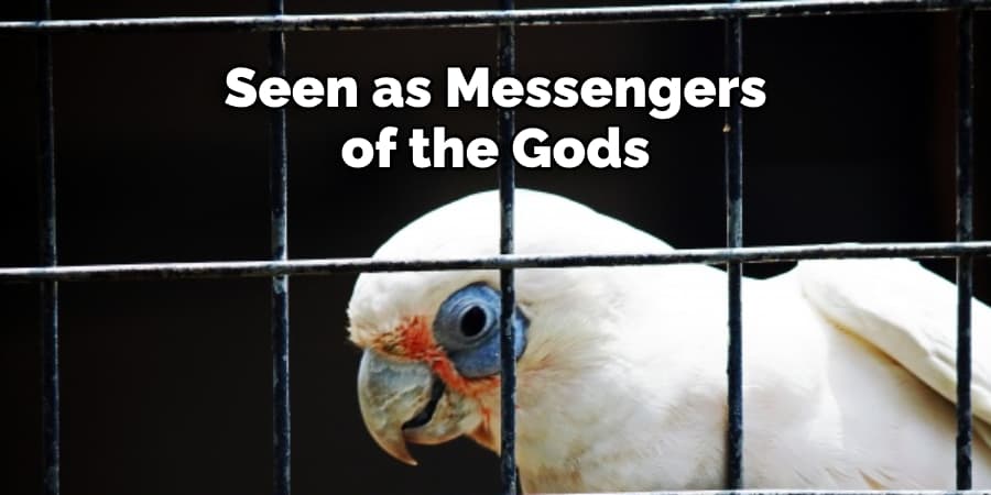 Seen as Messengers of the Gods