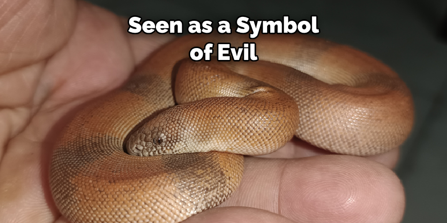 Seen as a Symbol of Evil
