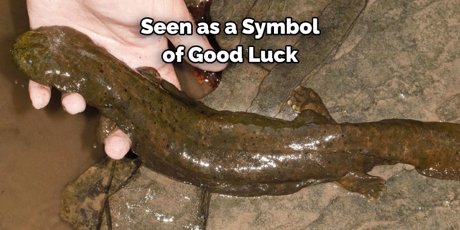 Seen as a Symbol of Good Luck