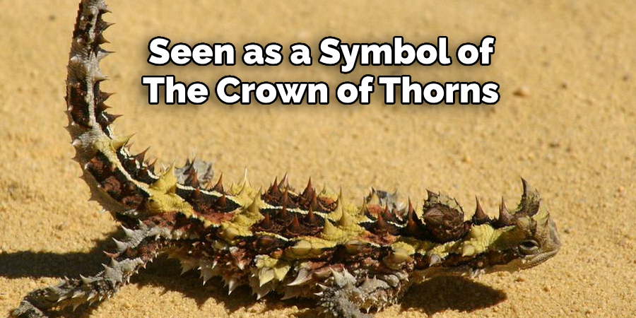Seen as a Symbol of  The Crown of Thorns