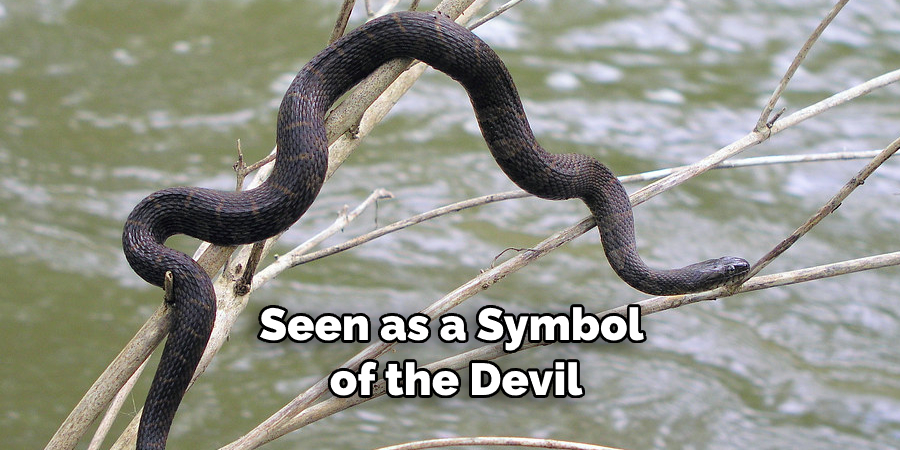 Seen as a Symbol of the Devil