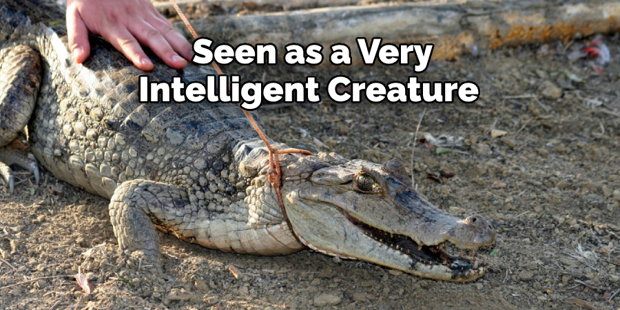  Seen as a Very Intelligent Creature