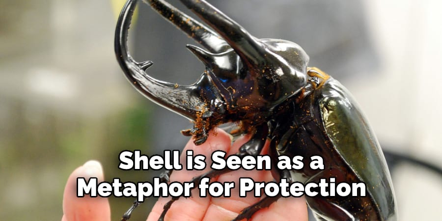 Shell is Seen as a  Metaphor for Protection