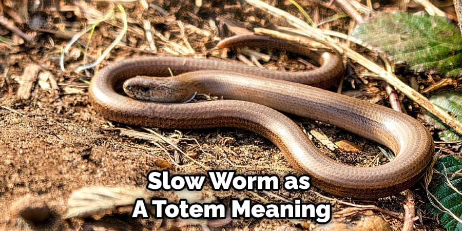 Slow Worm as  A Totem Meaning
