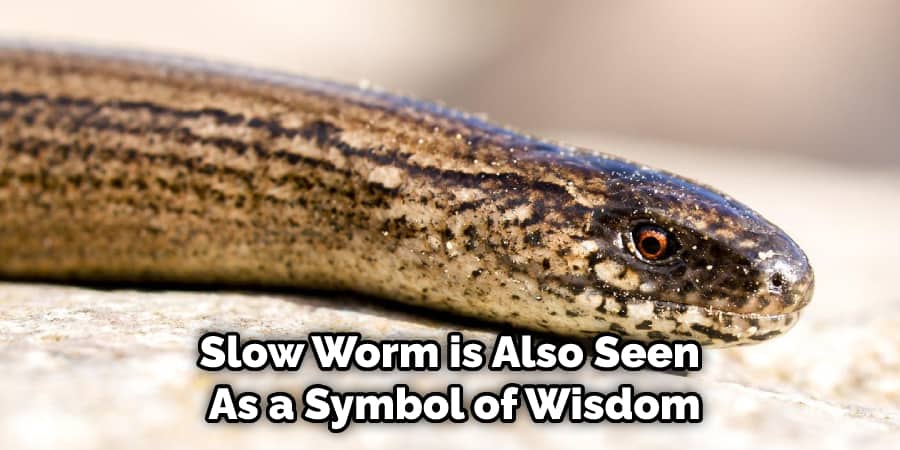 Slow Worm is Also Seen  As a Symbol of Wisdom