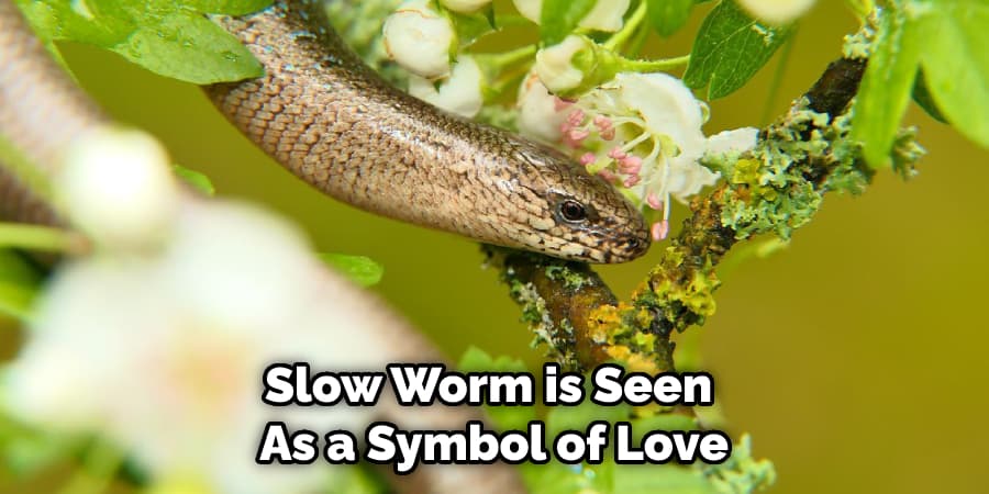 Slow Worm is Seen  As a Symbol of Love