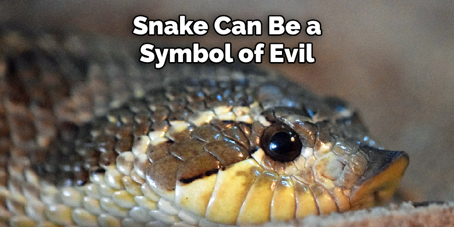 Snake Can Be a Symbol of Evil