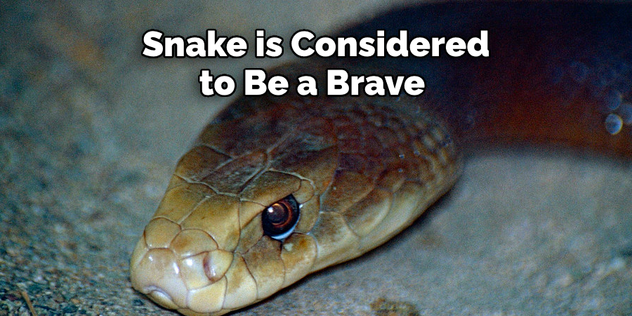 Snake is Considered to Be a Brave 