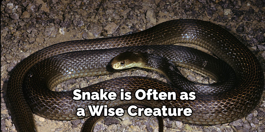 Snake is Often as  a Wise Creature 