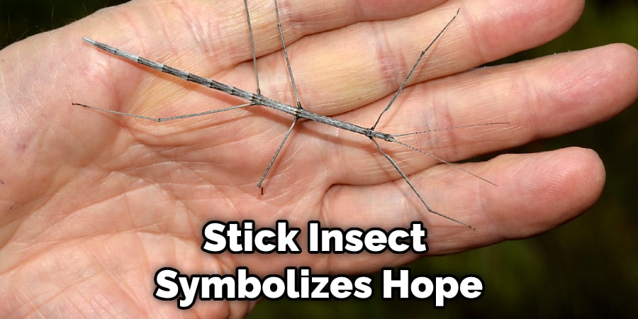 Stick Insect  Symbolizes Hope