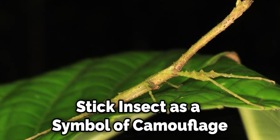 stick insect as a symbol of camouflage