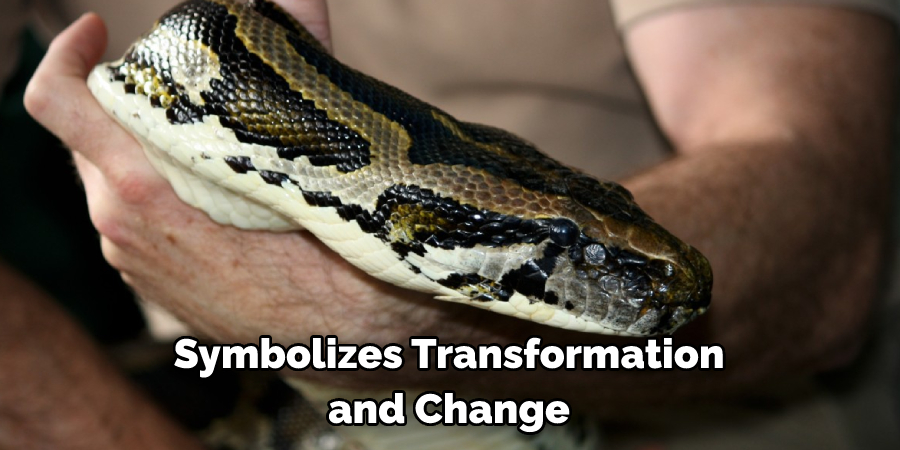 Symbolizes Transformation and Change