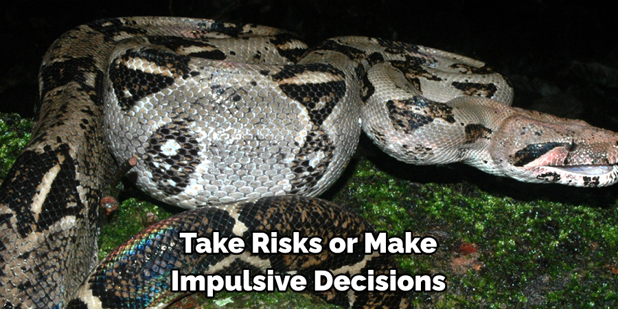 Take Risks or Make Impulsive Decisions