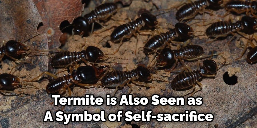 Termite is Also Seen as  A Symbol of Self-sacrifice