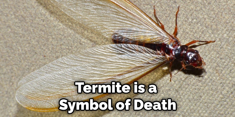 Termite is a  Symbol of Death