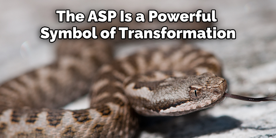 The ASP Is a Powerful  Symbol of Transformation