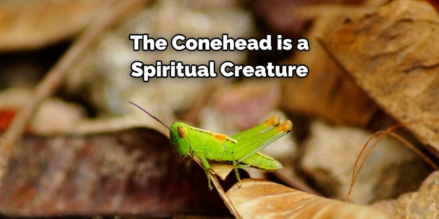 The Conehead is a  Spiritual Creature