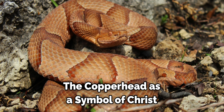 The Copperhead as a Symbol of Christ