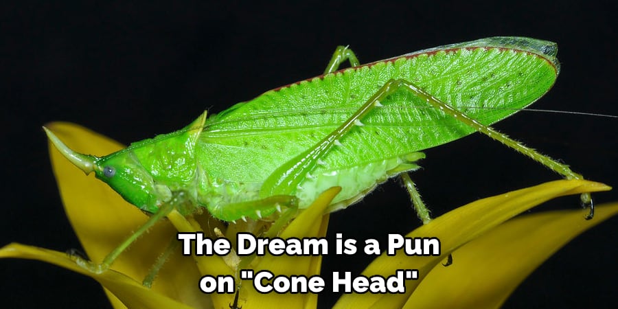 The Dream is a Pun  on "Cone Head"