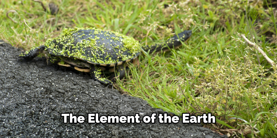 The Element of the Earth