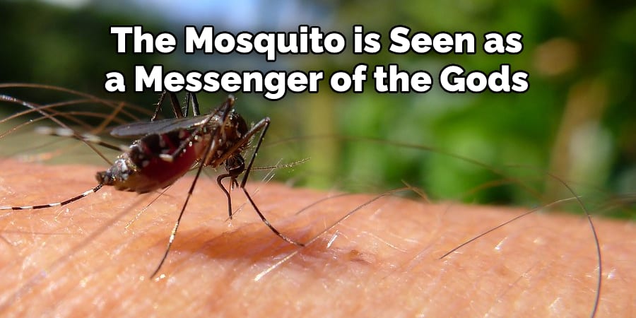 The Mosquito is Seen as a Messenger of the Gods
