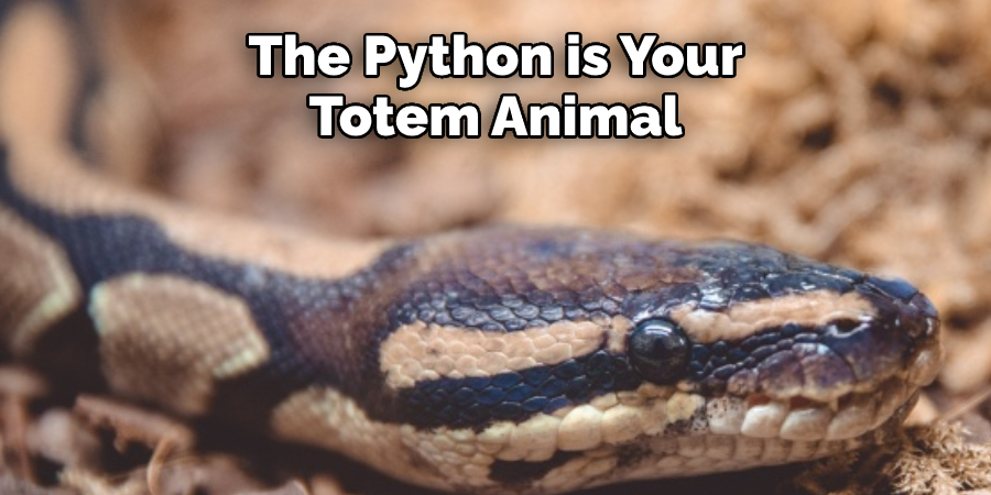 The Python is Your Totem Animal