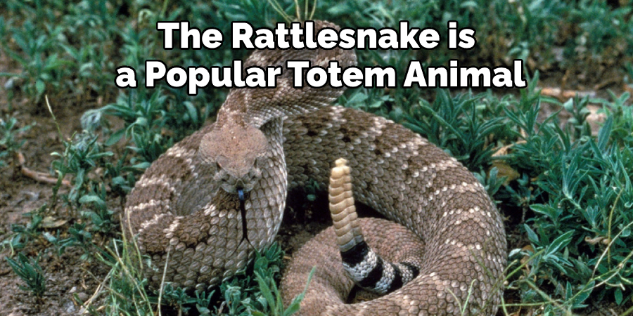 The Rattlesnake is  a Popular Totem Animal
