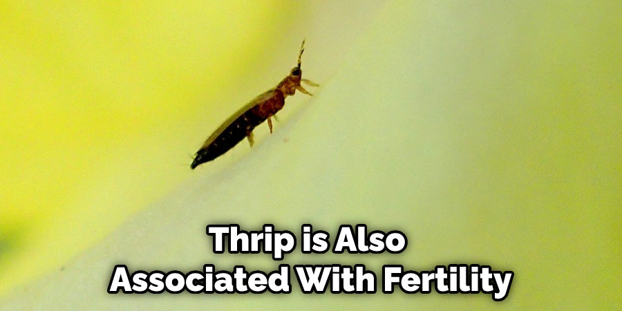 Thrip is Also  Associated With Fertility