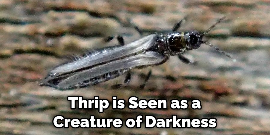  Thrip is Seen as a  Creature of Darkness