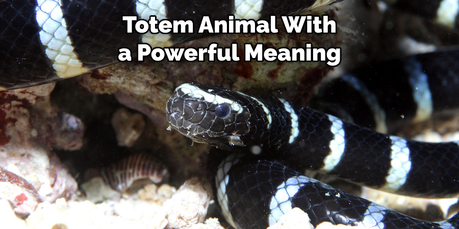 Totem Animal With a Powerful Meaning