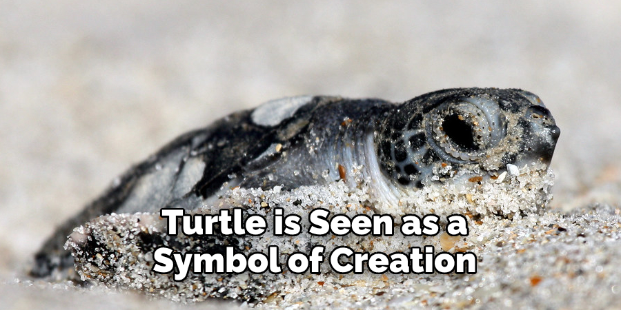 Turtle is Seen as a  Symbol of Creation