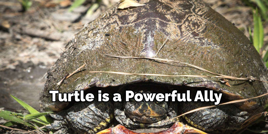 Turtle is a Powerful Ally