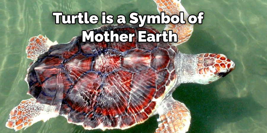 Turtle is a Symbol of Mother Earth