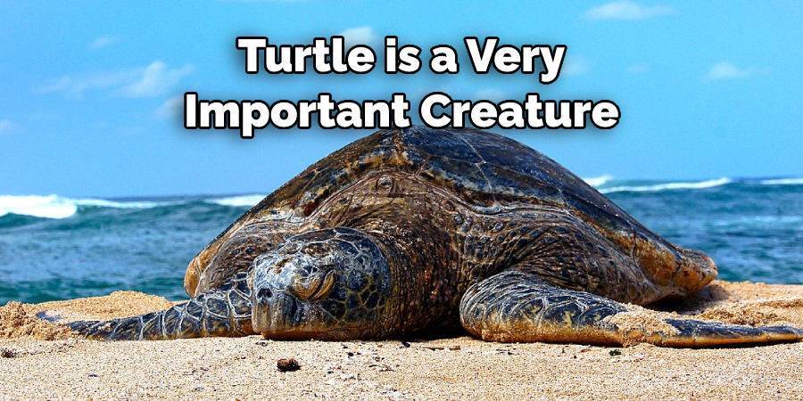 Turtle is a Very  Important Creature
