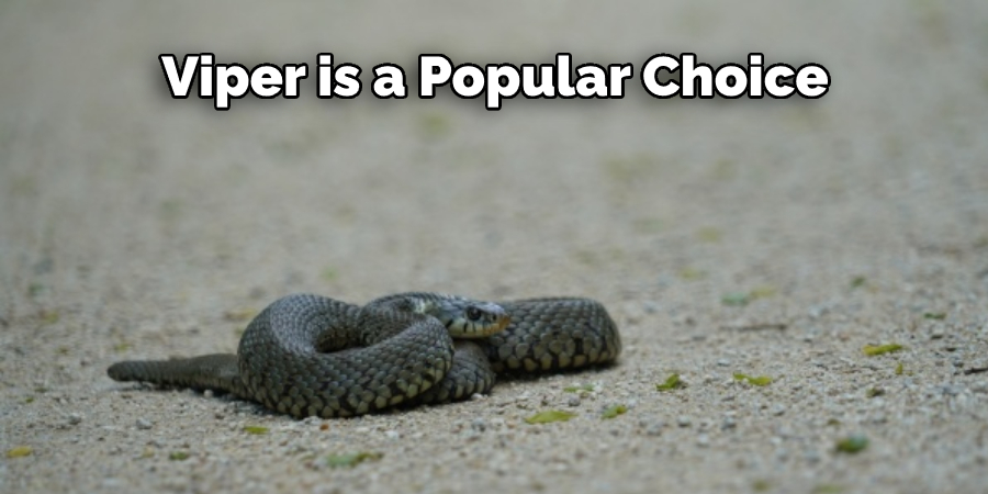 Viper is a Popular Choice