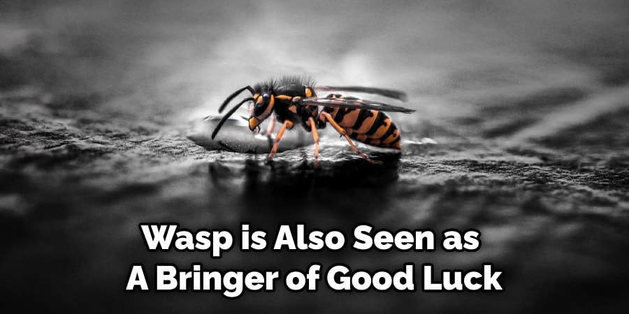 Wasp is Also Seen as  A Bringer of Good Luck