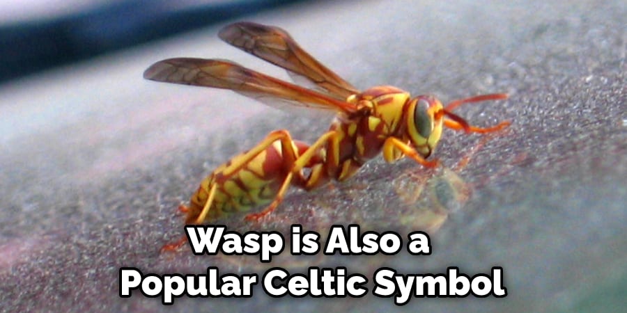 Wasp is Also a  Popular Celtic Symbol