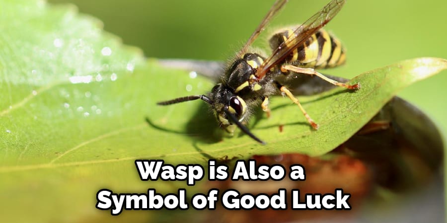 Wasp is Also a  Symbol of Good Luck