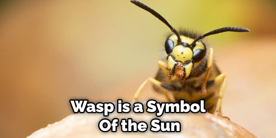 Wasp is a Symbol  Of the Sun