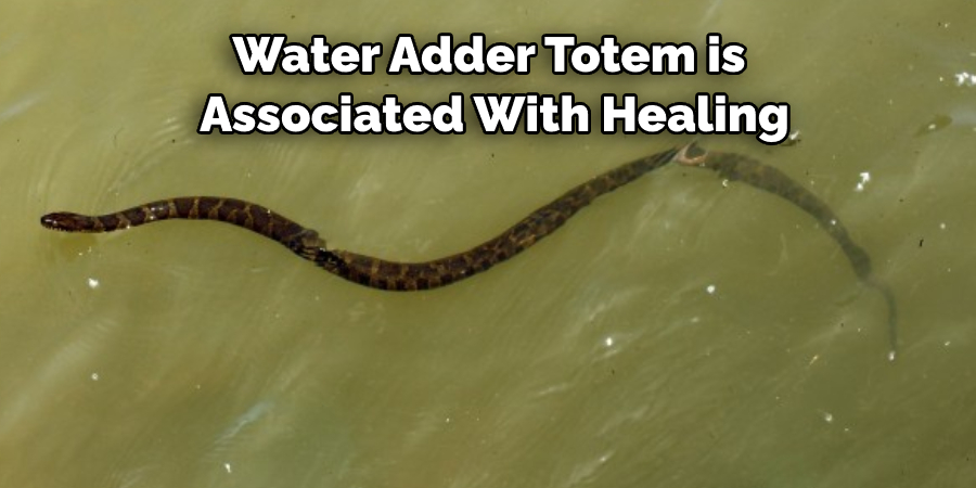 Water Adder Totem is  Associated With Healing