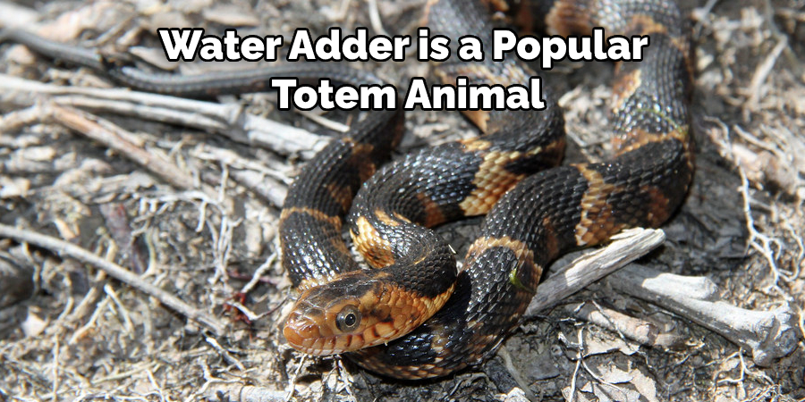  Water Adder is a Popular  Totem Animal