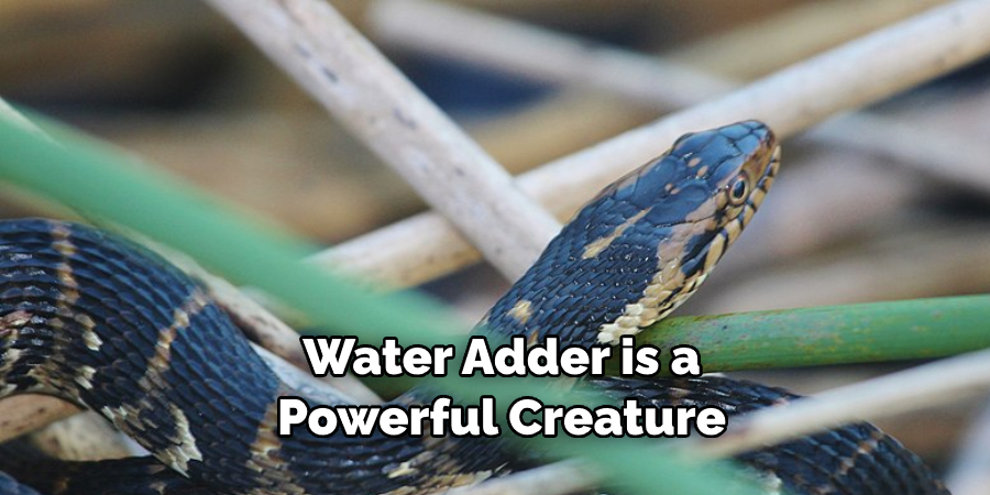 Water Adder is a  Powerful Creature