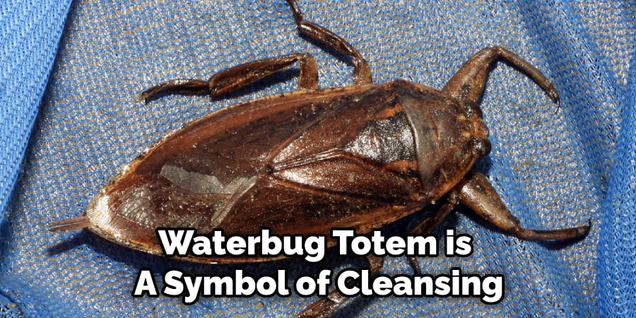 Waterbug Totem is  A Symbol of Cleansing