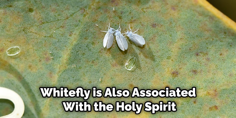 Whitefly is Also Associated  With the Holy Spirit