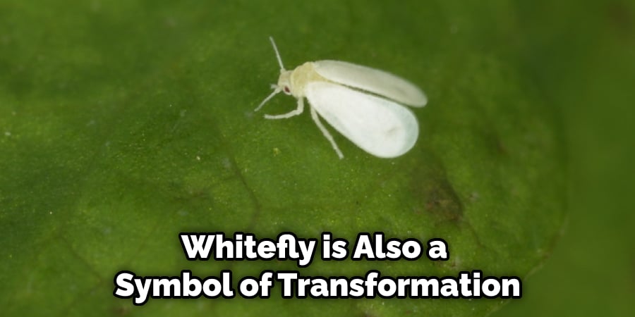 Whitefly is Also a  Symbol of Transformation