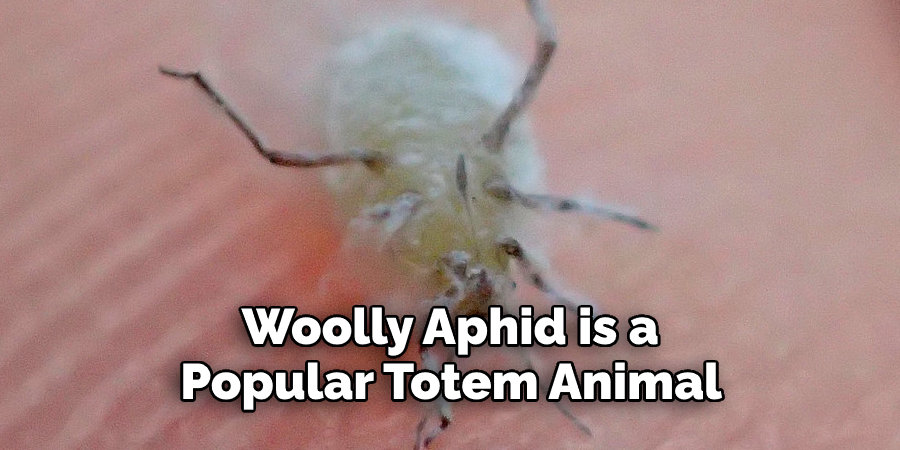  Woolly Aphid is a  Popular Totem Animal