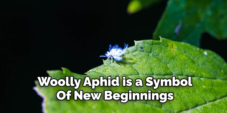  Woolly Aphid is a Symbol  Of New Beginnings