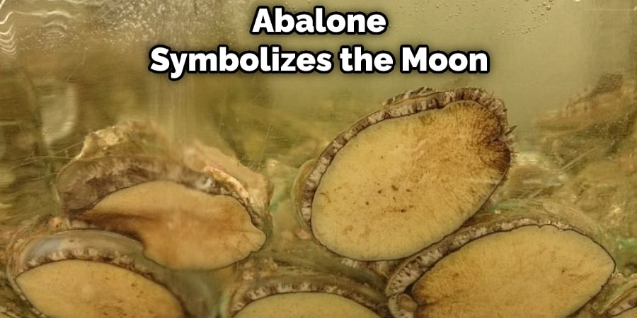 Abalone Symbolizes the Moon 