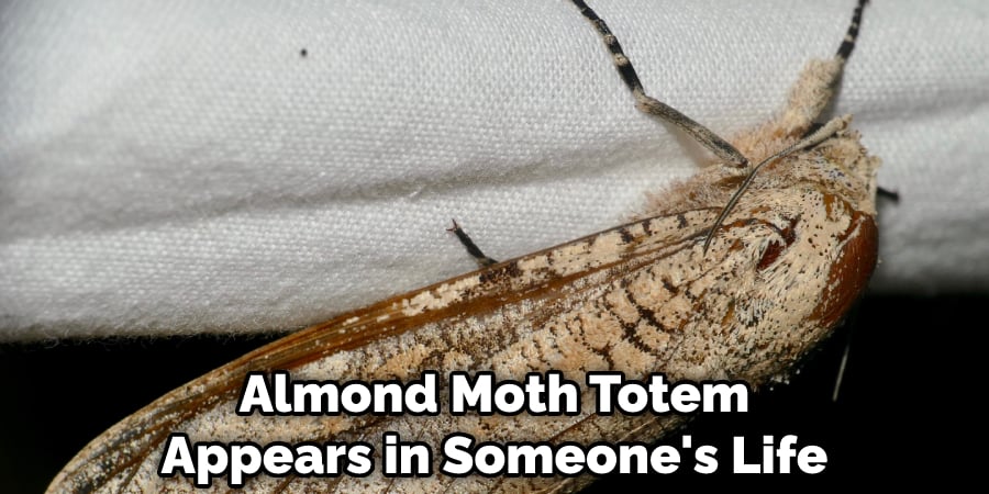 Almond Moth Totem Appears in Someone's Life