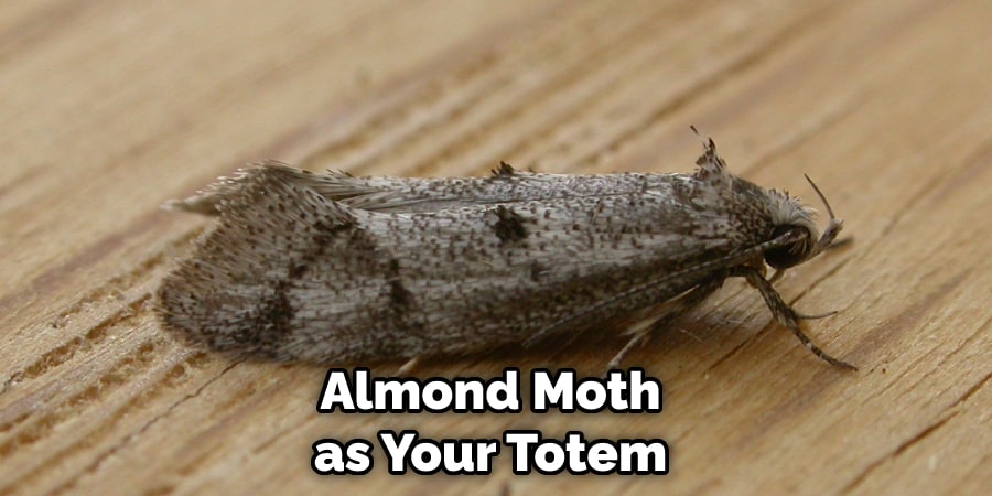 Almond Moth as Your Totem